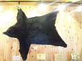 DSC07432.JPG