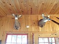 DSC07434.JPG