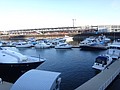 DSC07478.JPG