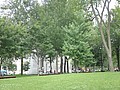 DSC07516.JPG