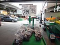 DSC07529.JPG
