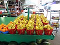 DSC07530.JPG