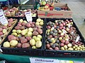 DSC07532.JPG