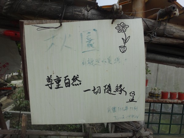 DSC07882.JPG