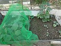 DSC07872.JPG