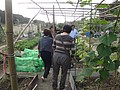 DSC07873.JPG