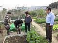 DSC07874.JPG