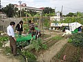 DSC07875.JPG
