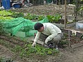 DSC07877.JPG