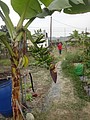 DSC07880.JPG