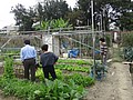 DSC07885.JPG