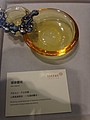 DSC07975.JPG
