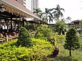 DSC02537.JPG