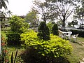 DSC02539.JPG