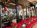 DSC02540.JPG