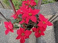 DSC02546.JPG