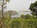 DSC02555.JPG