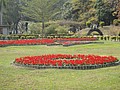 DSC02557.JPG