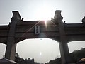 DSC08075.JPG