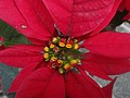 DSC08087.JPG