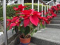 DSC08088.JPG