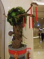 DSC08124.JPG