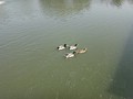 DSC08222.JPG