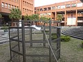 DSC08261.JPG