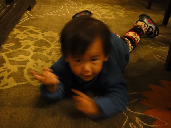 DSC08317-1.JPG