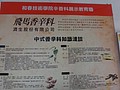 DSC08343.JPG