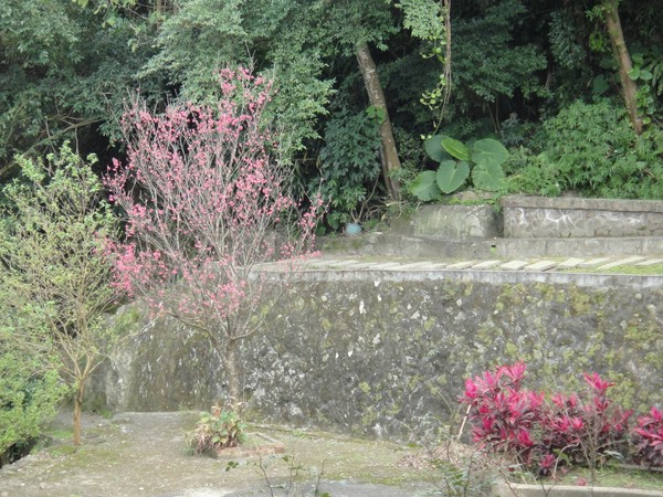 DSC08397-1.JPG