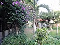 DSC08407-3.JPG