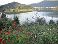 DSC08412-3.JPG