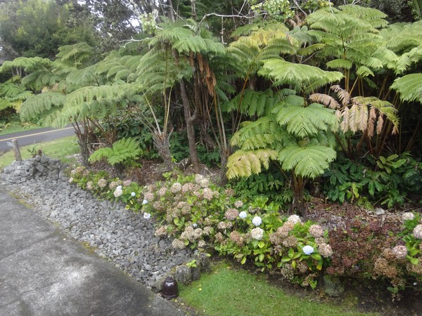 DSC08607.JPG