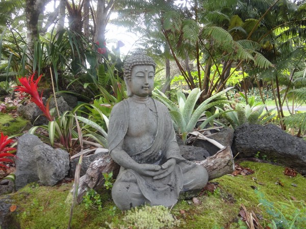 DSC08625.JPG