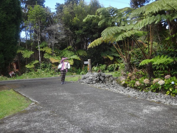 DSC08627.JPG