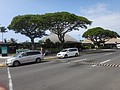 DSC08584.JPG