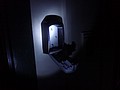 DSC08590.JPG
