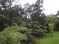 DSC08600.JPG