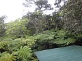 DSC08601.JPG