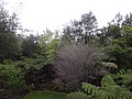 DSC08602.JPG