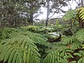 DSC08605.JPG