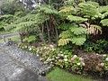 DSC08607.JPG