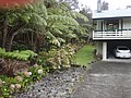 DSC08610.JPG