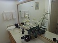 DSC08617.JPG