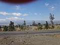 DSC08641.JPG