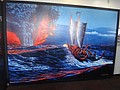 DSC08656.JPG