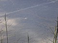 DSC08661.JPG