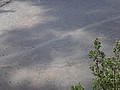 DSC08662.JPG