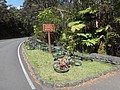 DSC08664.JPG
